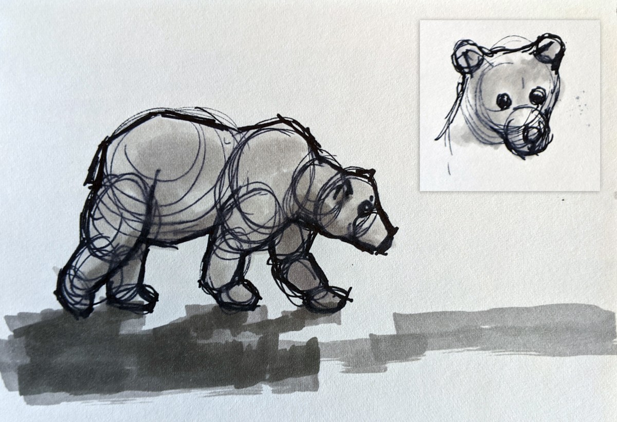 Bear sketches